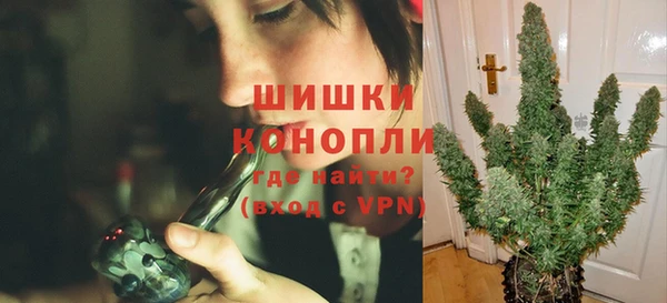 эйфоретик Магас