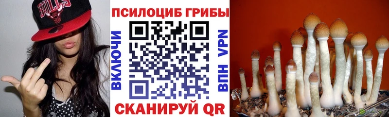 Галлюциногенные грибы Psilocybine cubensis  Данилов 